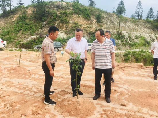 Snipaste_2023-06-19_08-37-31.jpg Snipaste_2023-06-19_08-37-31.jpg